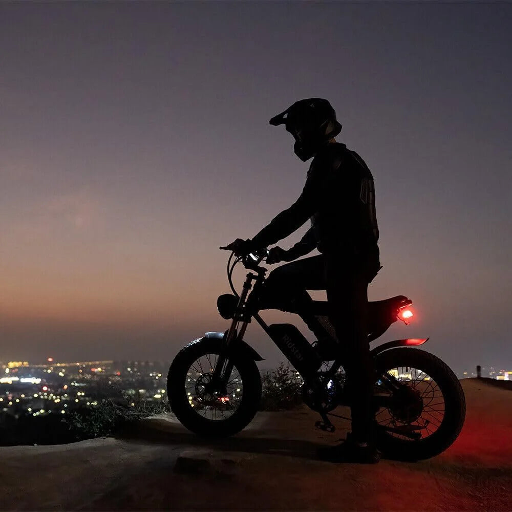 Ridstar Electric Bike for Adults, Peak 1500W 30MPH, 48V 15.6ah Electric Bicycle, Full Suspension Mountain Bike UL2849