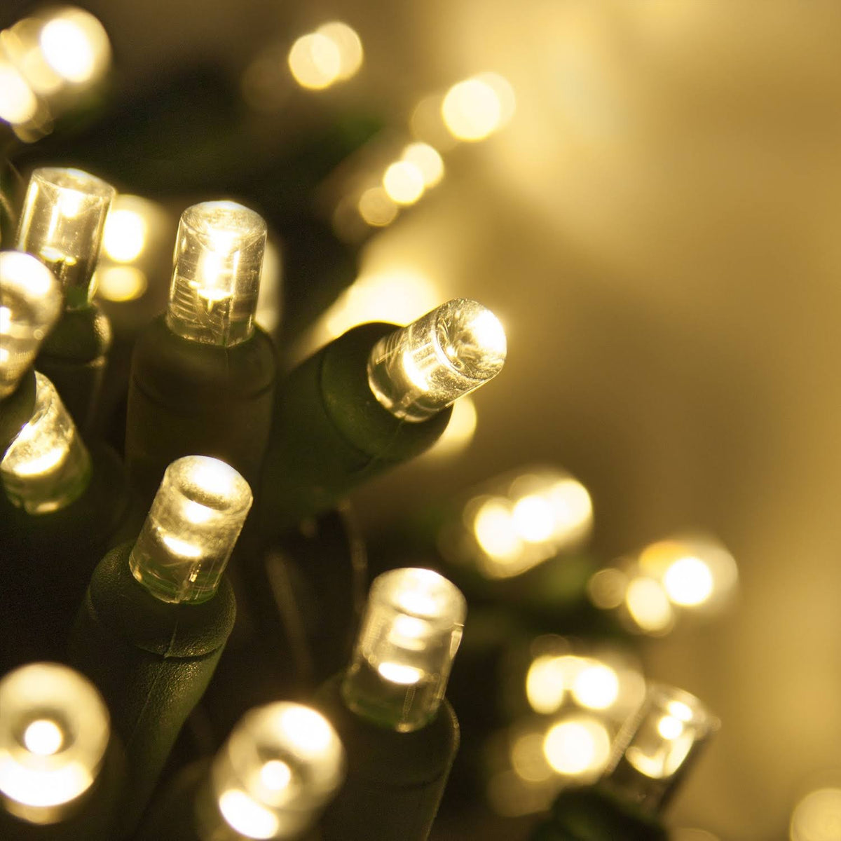 50 5mm Warm White LED Christmas Lights, Green Wire, 6" Spacing