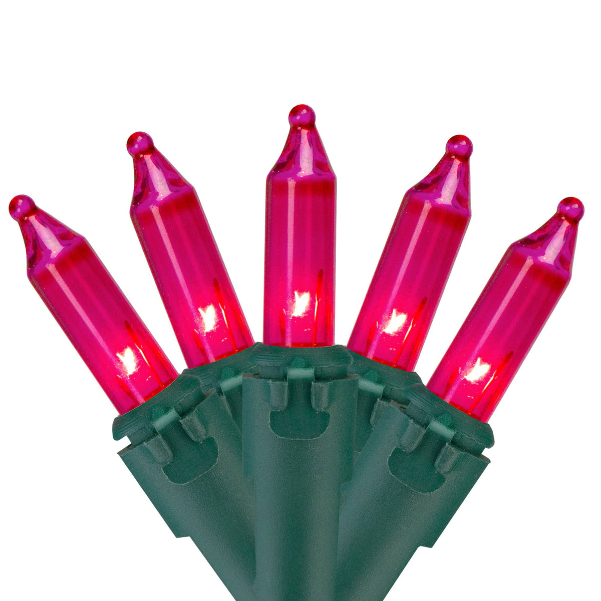 Northlight Set of 50 Pink Mini Christmas Lights 2.5" Spacing - Green Wire