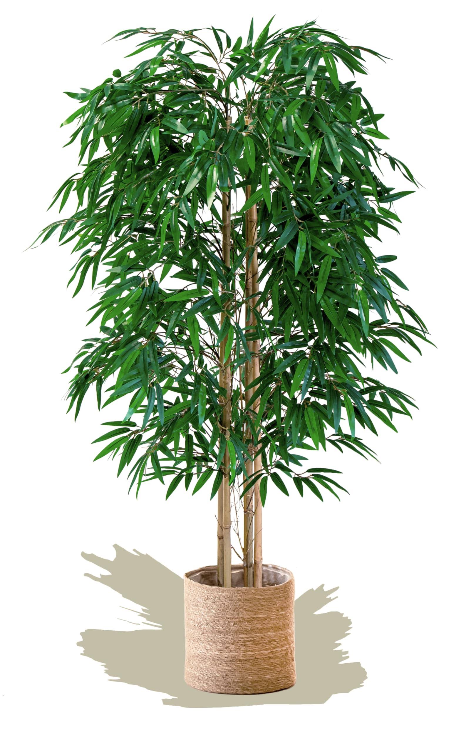 Maia Shop Bamboo, Artificial Tree with Natural Canes, Made with The Best Materials, Ideal for Home Decoration, Artificial Plant 5 Feet Tall - 60 inch