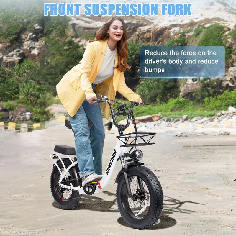 Electric Bike for Adults 20'', 800W UL2849 48V 32AH 110miles Long Range Ebike up to 30mph Full Suspension E - Mountain Bike 4.0 Fat Tire Off - Road, 2 Seats Outdoor Dual Disc Brakes Electric Bicycle