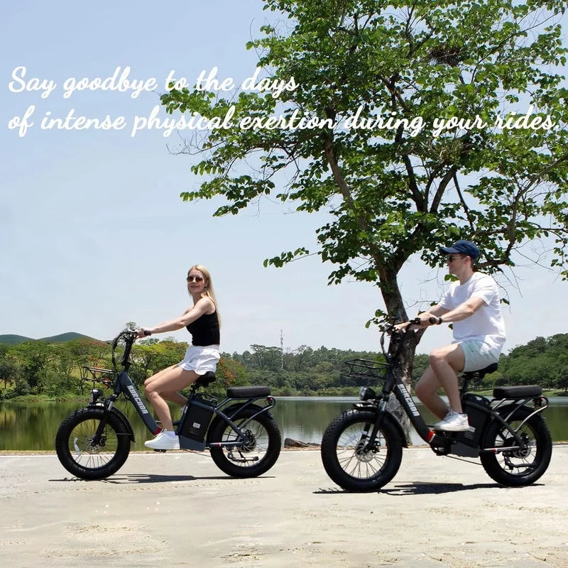 Electric Bike for Adults 20'', 800W UL2849 48V 32AH 110miles Long Range Ebike up to 30mph Full Suspension E - Mountain Bike 4.0 Fat Tire Off - Road, 2 Seats Outdoor Dual Disc Brakes Electric Bicycle