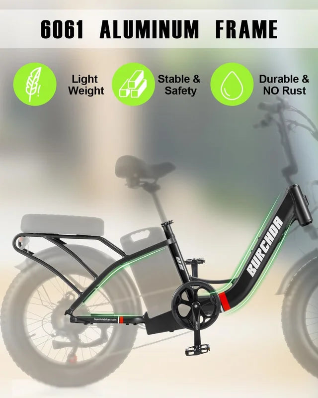 Electric Bike for Adults 20'', 800W UL2849 48V 32AH 110miles Long Range Ebike up to 30mph Full Suspension E - Mountain Bike 4.0 Fat Tire Off - Road, 2 Seats Outdoor Dual Disc Brakes Electric Bicycle