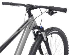 Kent Bicycles 29" Men'S Trouvaille Mountain Bike Medium, Black and Taupe