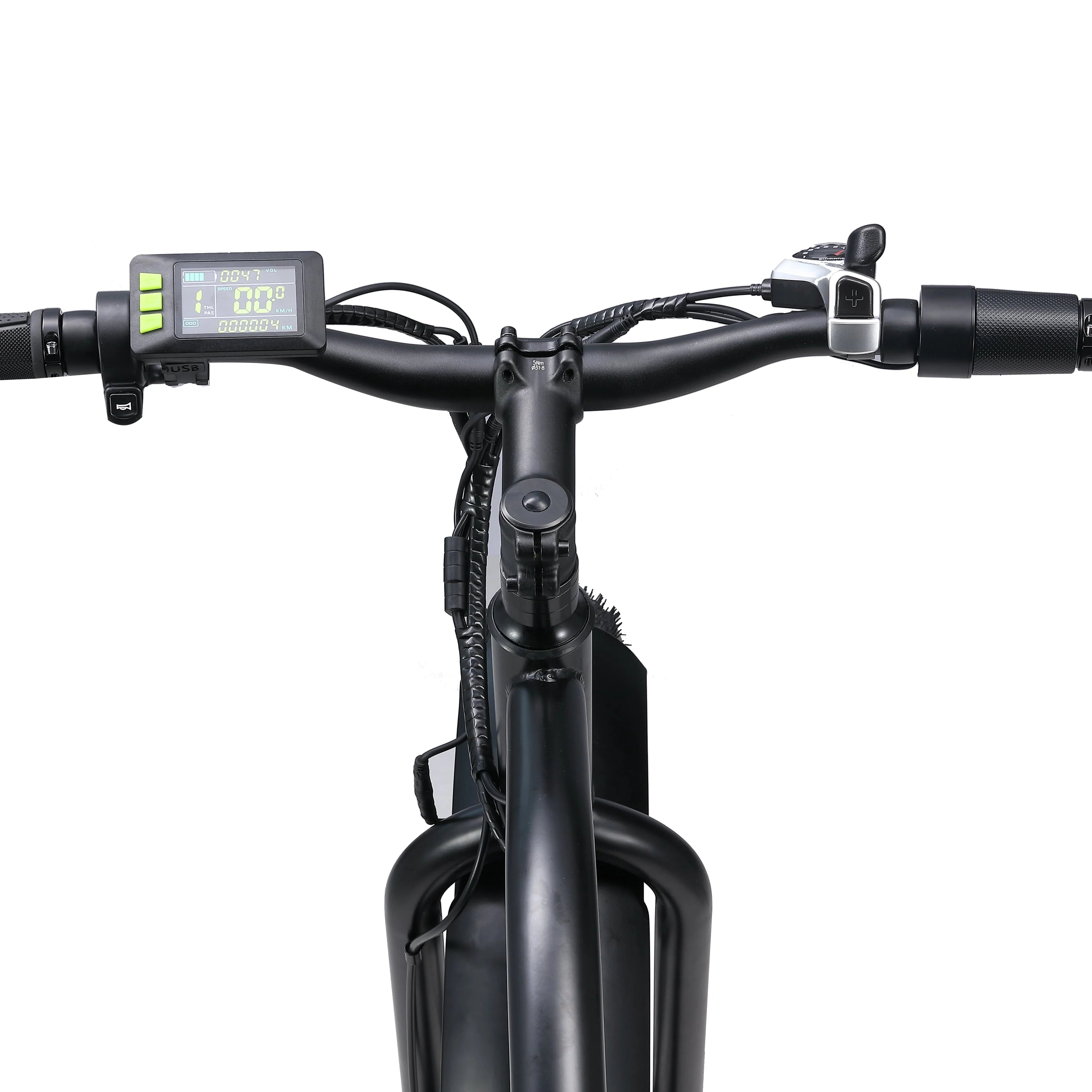 Electric Bike with 750W Motor, Electric Bike for Adults, Electric Mountain Bicycle with 48V 14.5ah Battery, 26'' Fat Tires, LCD Display, Front and Rear LED Lights, Professional 7 - Speed Gears