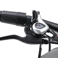Electric Bike with 750W Motor, Electric Bike for Adults, Electric Mountain Bicycle with 48V 14.5ah Battery, 26'' Fat Tires, LCD Display, Front and Rear LED Lights, Professional 7 - Speed Gears