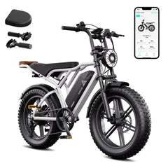 TST Electric Bike for Adults, 750W Peak 1500W Motor, 20"x4" Fat Tire, E Mountain Bike, 48V/15AH UL2849