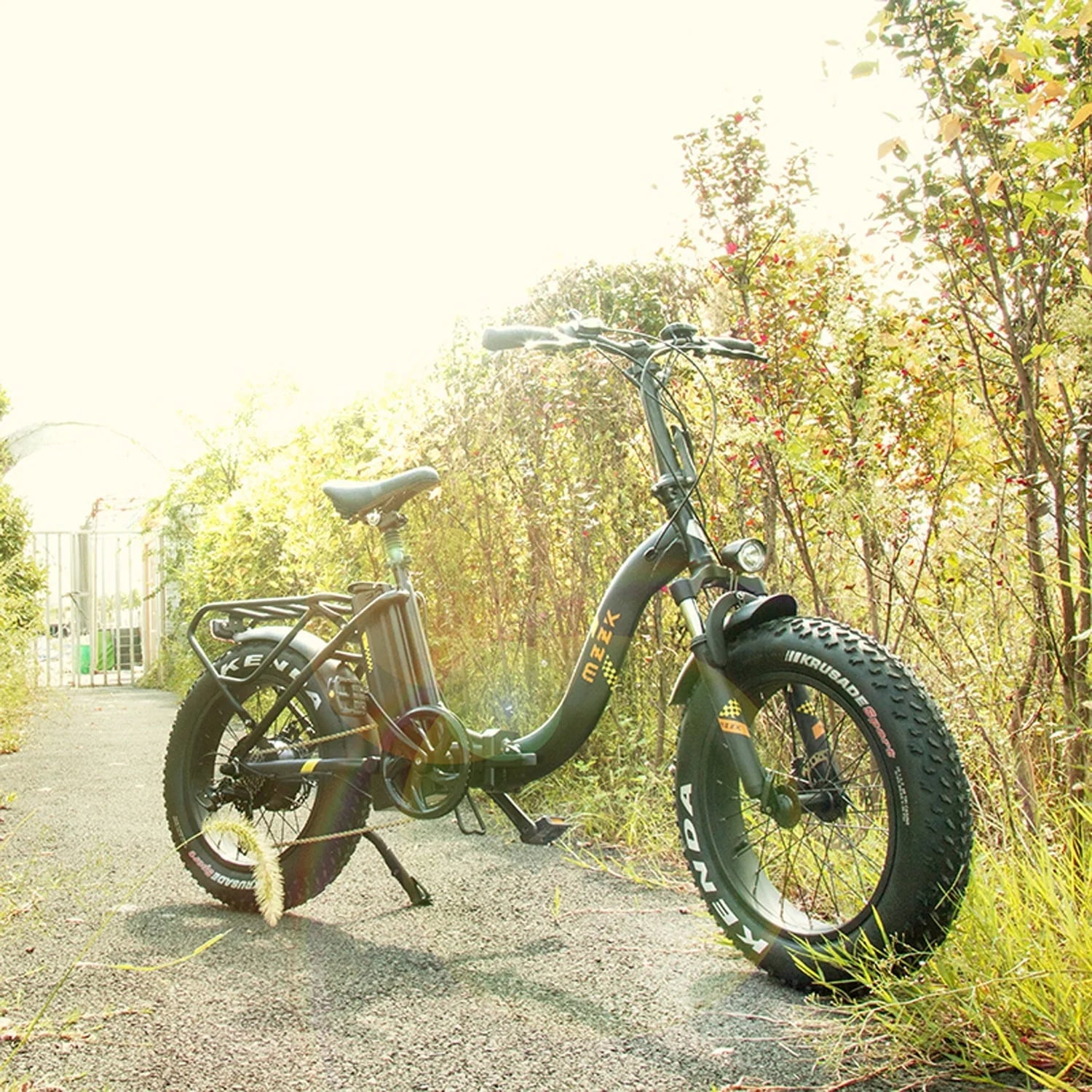 Folding Electric Bike for Adults, Ebikes for Adults 7 Speed Powerful 750W BAFANG Motor 20" 4.0 Fat Tire Foldable Mountain Snow Ebikes with Removable Lithium Battery