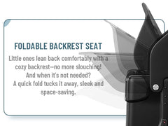 Fridtrip 20 in Carry on TSA Lock Luggage with Foldable Seat for Kids& Adult, Lockable Spinner Wheels Free Luggage Cover and Safety Seatbelt Travel Suitcase