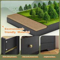 4 - Drawer Black Wood Dresser with LED Lights, Modern Chest of Drawers for Bedroom, Living Room
