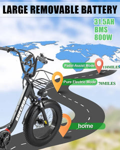 Electric Bike for Adults 20'', 800W UL2849 48V 32AH 110miles Long Range Ebike up to 30mph Full Suspension E - Mountain Bike 4.0 Fat Tire Off - Road, 2 Seats Outdoor Dual Disc Brakes Electric Bicycle