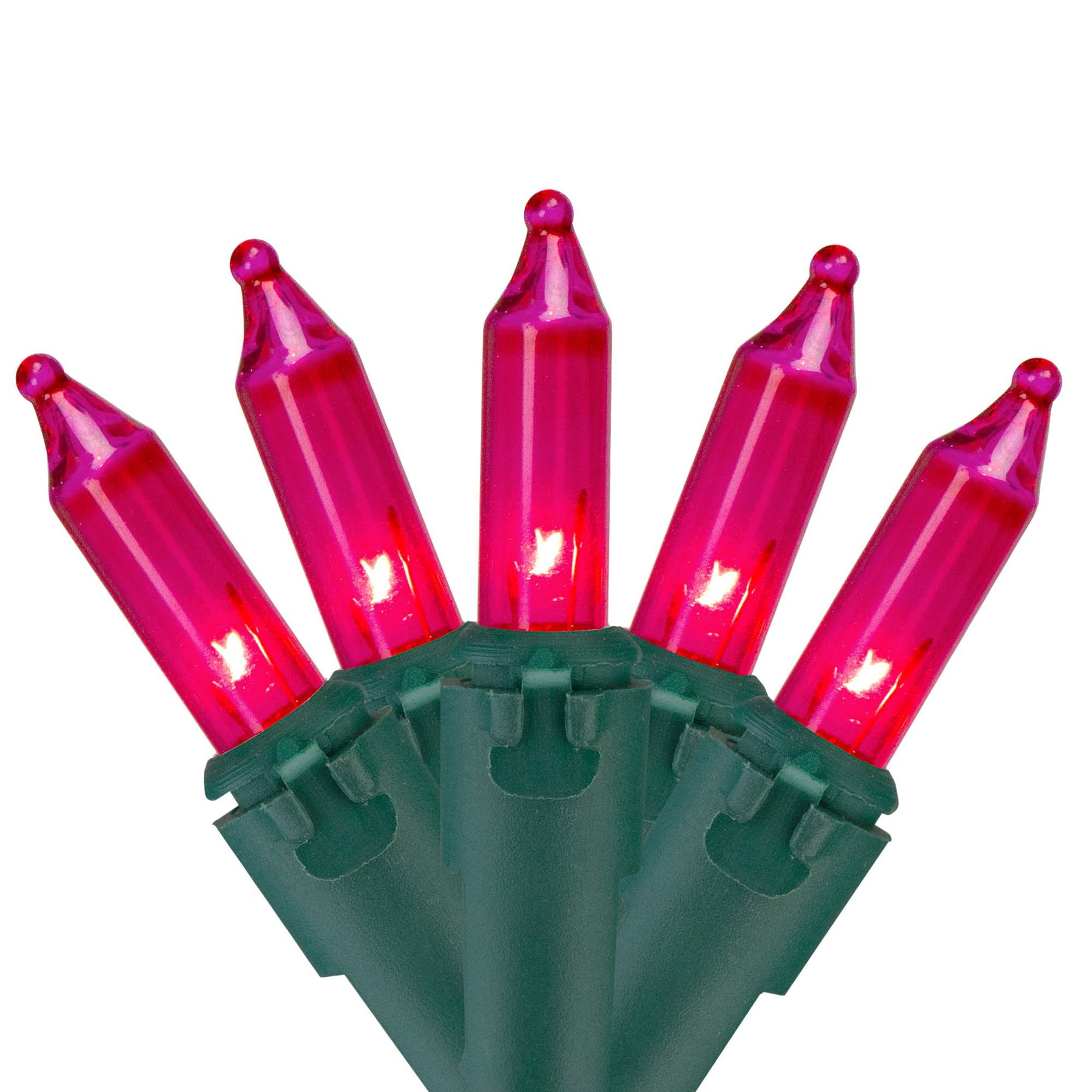 Northlight Set of 50 Pink Mini Christmas Lights 2.5" Spacing - Green Wire