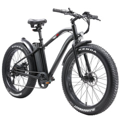 Electric Bike with 750W Motor, Electric Bike for Adults, Electric Mountain Bicycle with 48V 14.5ah Battery, 26'' Fat Tires, LCD Display, Front and Rear LED Lights, Professional 7 - Speed Gears