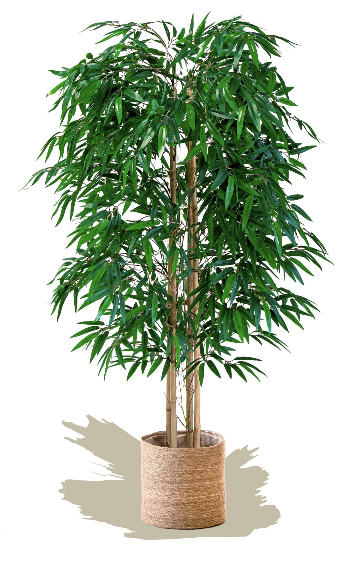 Maia Shop Bamboo, Artificial Tree with Natural Canes, Made with The Best Materials, Ideal for Home Decoration, Artificial Plant 5 Feet Tall - 60 inch