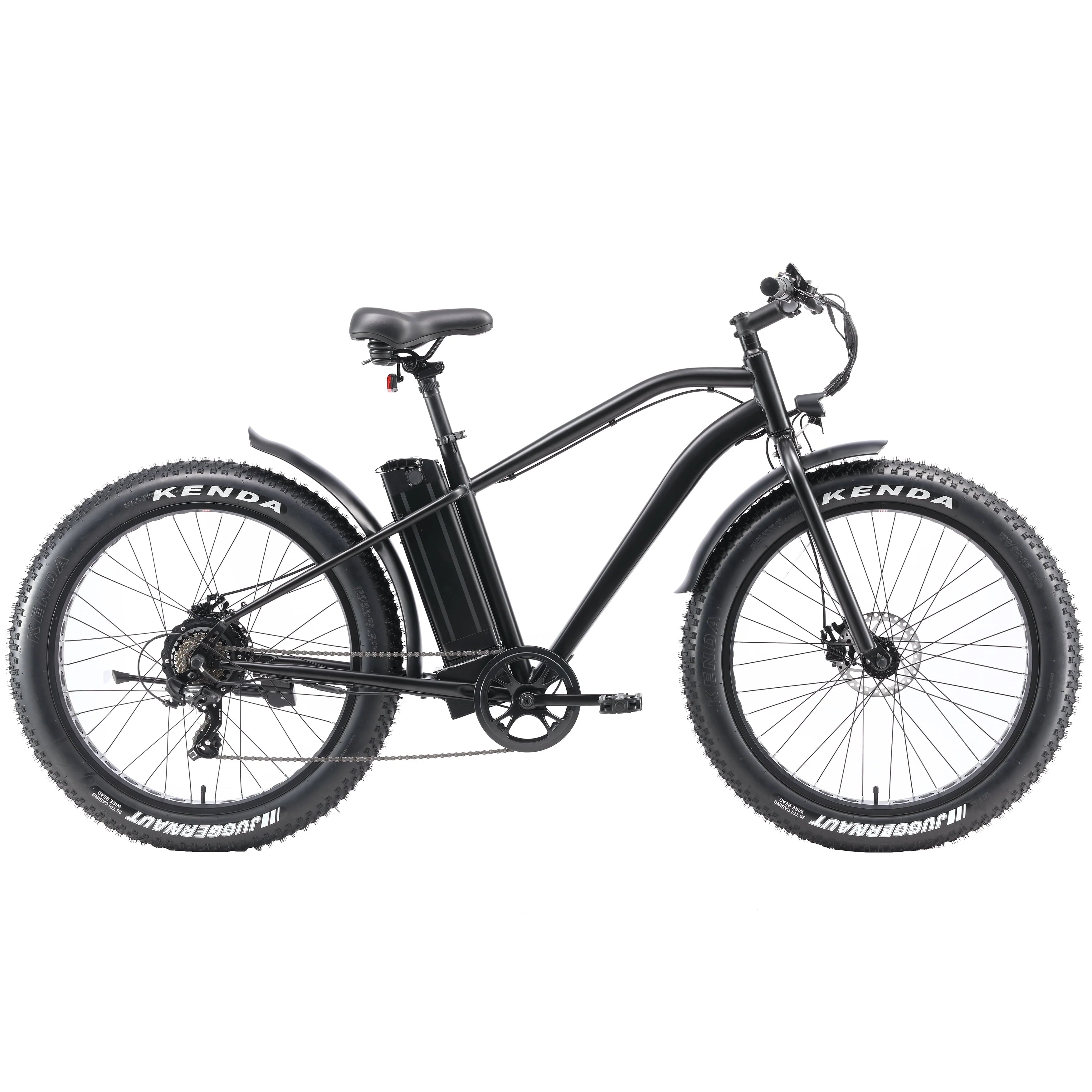 Electric Bike with 750W Motor, Electric Bike for Adults, Electric Mountain Bicycle with 48V 14.5ah Battery, 26'' Fat Tires, LCD Display, Front and Rear LED Lights, Professional 7 - Speed Gears
