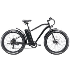 Electric Bike with 750W Motor, Electric Bike for Adults, Electric Mountain Bicycle with 48V 14.5ah Battery, 26'' Fat Tires, LCD Display, Front and Rear LED Lights, Professional 7 - Speed Gears
