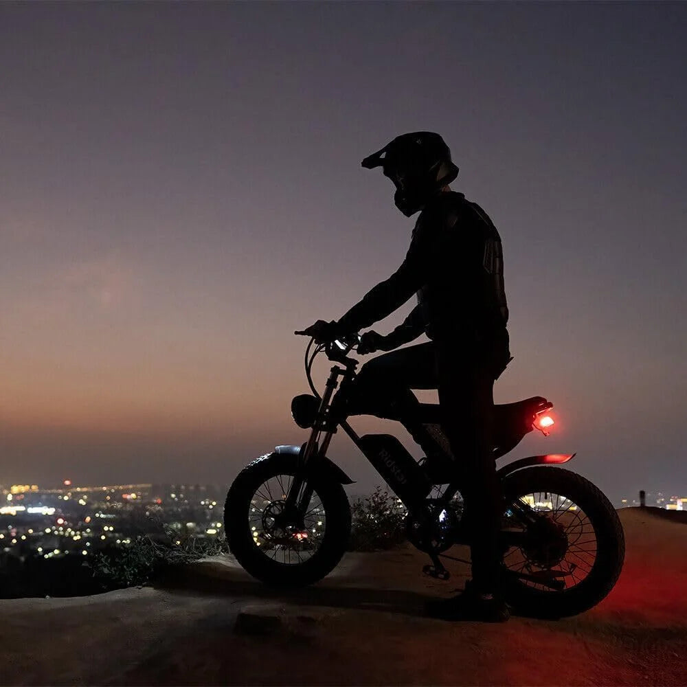 Ridstar Electric Bike for Adults Q20, 1200W 30MPH, 48V 15.6ah Electric Bicycle, 7 Speed Full Suspension Mountain Bike UL2849