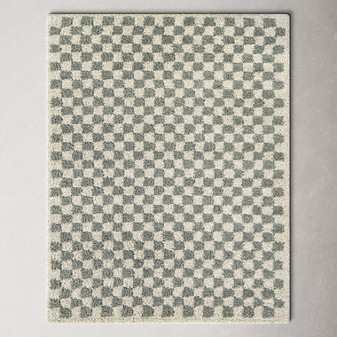 Walker Checkered Sage/Cream Shag Area Rug AllModern Rug Size: Rectangle 7'10" x 10'