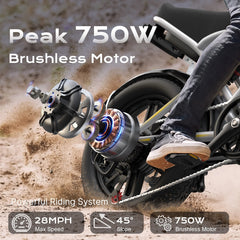 AIRWEST Peak 1000W Electric Bike for Adults - Reaches 25MPH, 65 Miles Long Range, 48V 13ah Battery, Full Suspension, 7 - Speed, 20" Fat Tire Electric Motorcycle Dirt Bike, UL2849